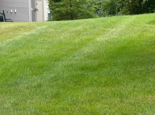 Melissa L.'s lawn service service result