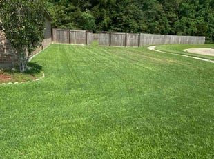 Jerry G.'s grass maintenance service result