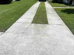 Michael B.'s lawn care services service result