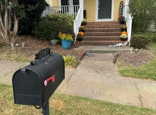 Nancy L.'s lawn service service result