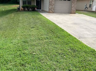 Keith C.'s grass cutting service result