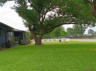 Jessica C.'s lawn service service result