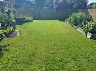 Bill W.'s grass maintenance service result