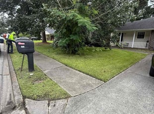 Kim D.'s lawn maintenance service result