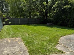 Stephanie S.'s grass cutting service result