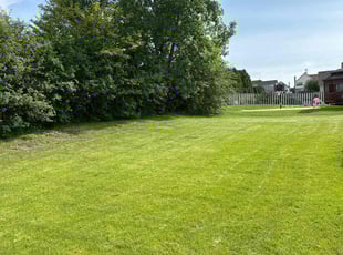 Mark S.'s lawn maintenance service result