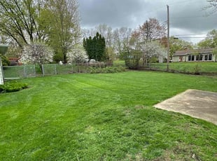 Cliff M.'s grass maintenance service result