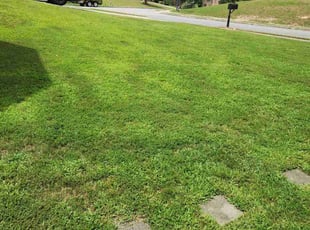 Ana V.'s lawn maintenance service result