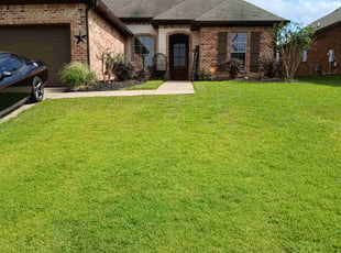 Estatezone L.'s lawn service service result
