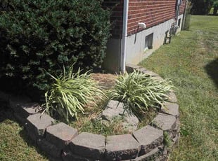 Suhail R.'s Flower Bed Weeding service result