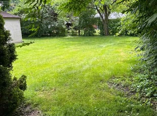 Marieta D.'s turf care service result