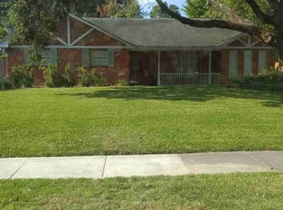 Alnesha J.'s lawn care service result