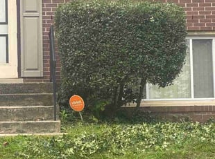 James B.'s Bush Trimming service result