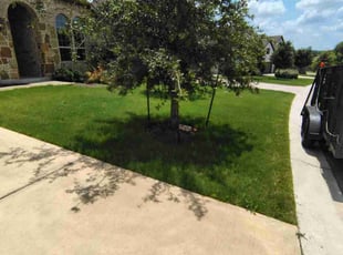 Jonathan R.'s turf care service result