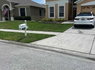 Bailey G.'s turf care service result