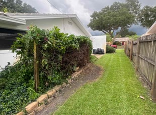 Barbara T.'s Bush Trimming service result