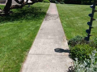 Kylie G.'s lawn service service result