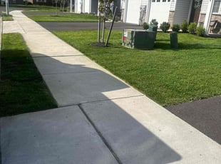 Brittany A.'s turf care service result