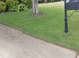 Ron R.'s grass maintenance service result