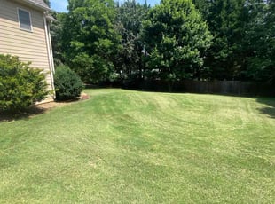 Will l.'s lawn maintenance service result