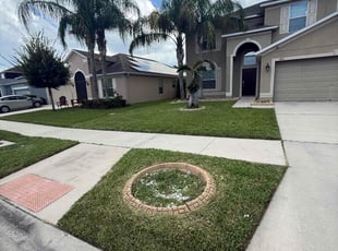 Shavar R.'s turf maintenance service result