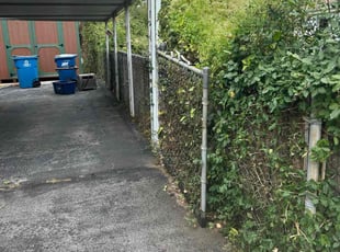 Albert V.'s Bush Trimming service result