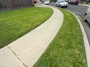Ronald. N.'s lawn care service result