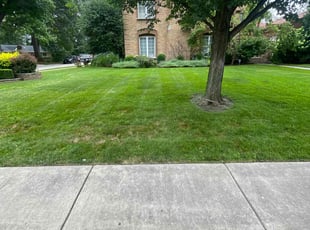 Jakeyla R.'s lawn care services service result