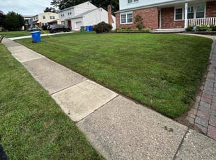 Susan S.'s lawn service service result
