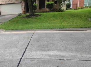 Kelly P.'s grass maintenance service result