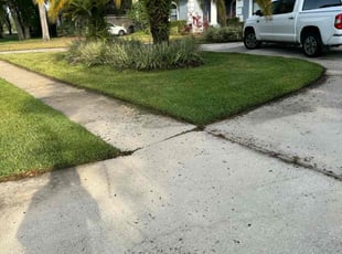 Lisa W.'s grass maintenance service result
