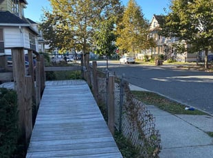 Meldon M.'s Bush Trimming service result