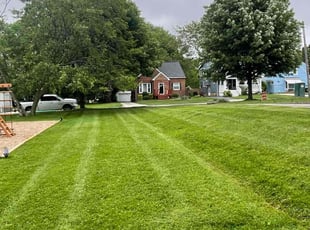 Joey W.'s grass maintenance service result