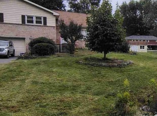 Eddison H.'s lawn care service result