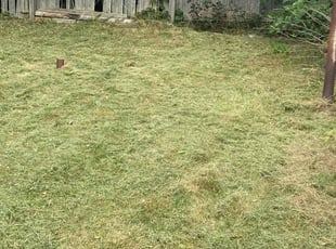 Don R.'s grass maintenance service result