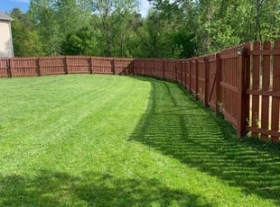Tony N.'s yard care service result