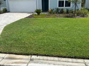 Mai D.'s lawn care services service result