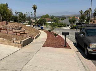 Ashley B.'s grass maintenance service result