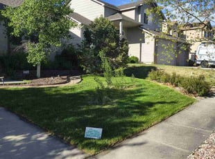 Raymona I.'s landscaping services service result