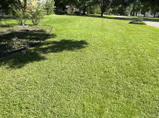 Andres M.'s lawn care service result