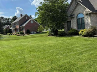 Sheena P.'s lawn maintenance service result