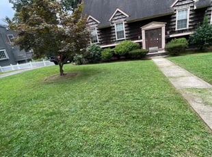 Sharon R.'s turf care service result