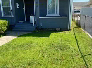 Denise A.'s grass maintenance service result