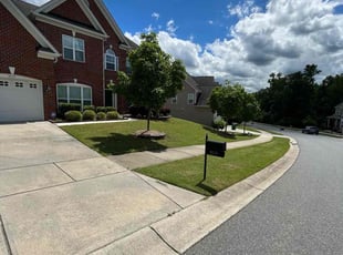 Anton P.'s grass maintenance service result