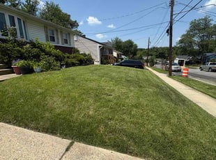 Ruby G.'s grass cutting service result