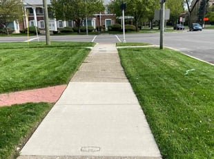 Suzy T.'s grass maintenance service result