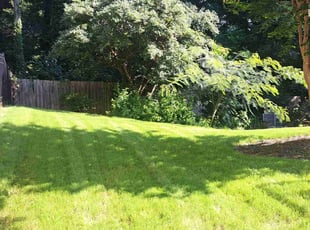 Theresa B.'s lawn service service result