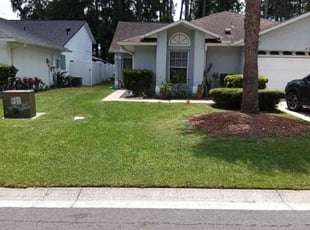 Michael T.'s grass cutting service result