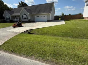 Mary P.'s lawn maintenance service result