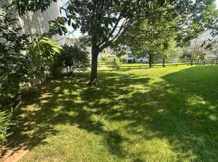 Ify K.'s turf maintenance service result